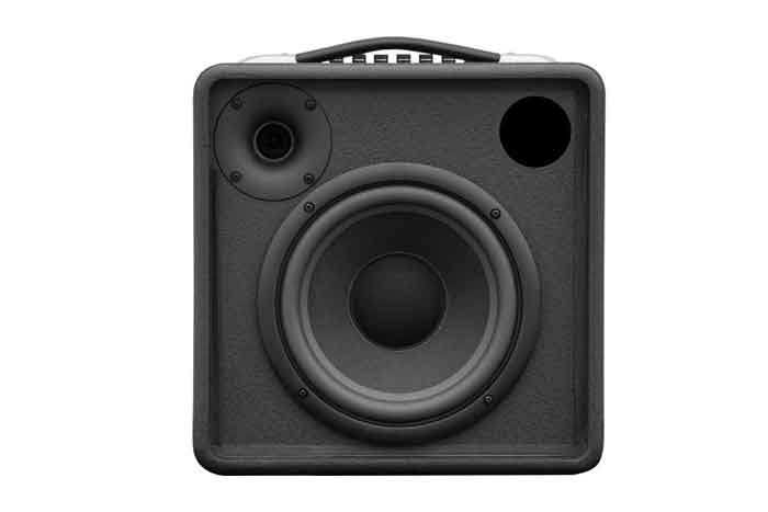 Loa xách tay Dalton PS-K9A Bass 20cm 250W